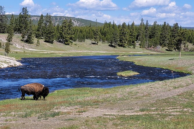 Full-Day Guided Yellowstone Day Tour - Sum Up