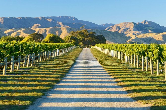 Full-Day Marlborough Wine Tour Including Wine Tasting - Common questions
