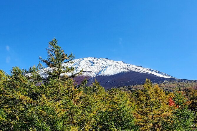 Full Day Mount Fuji Private Tour With English Speaking Guide - Cancellation Policy