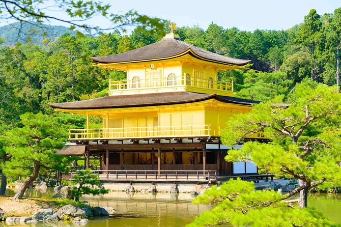 Full-Day Private Bamboo Grove and Golden Temple in Kyoto Tour - Transportation and Logistics