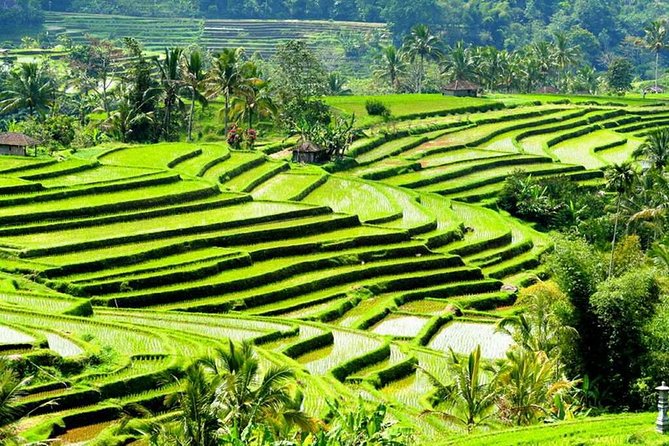 Full-Day Private Cultural Bali Tour Balinese Driver - Common questions