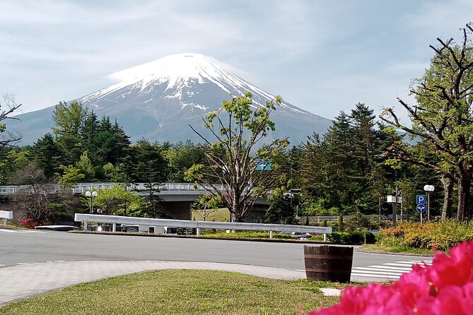 Full-day Private Exploration in Mount Fuji - Booking Information