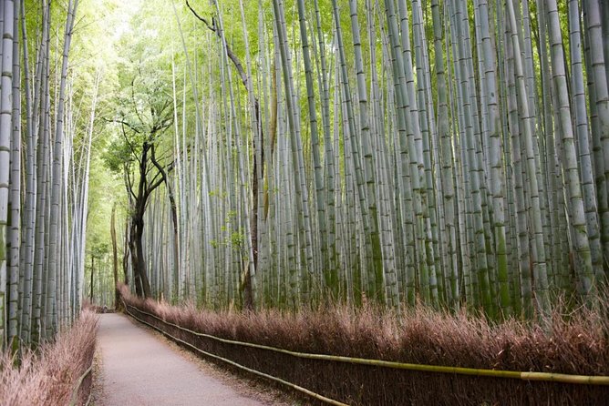 Full-Day Private Guided Tour in Kyoto, Arashiyama - Sum Up