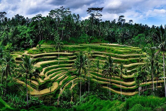 Full Day Private Tour in Ubud Indonesia - Meeting Point and Time