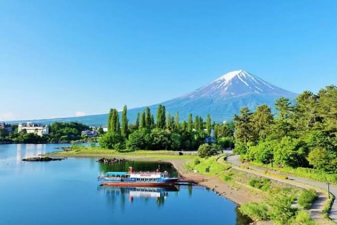 Full Day Private Tour With English Speaking Driver in Mount Fuji - Sum Up