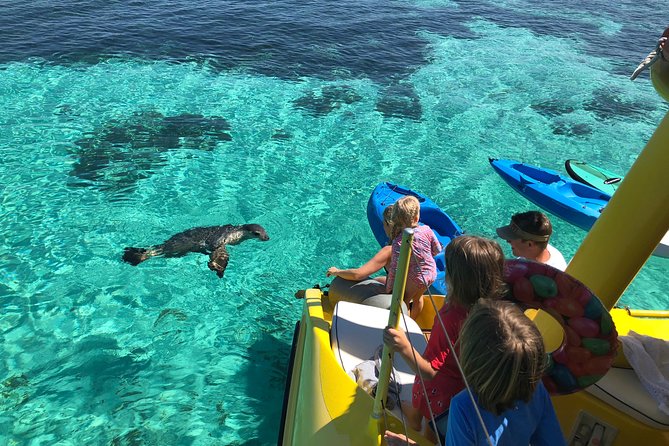 Full Day Sail to Rottnest Island From Fremantle - What To Expect