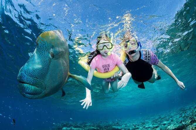 Full-Day Small-Group Guided Snorkeling Tour, Outer Reef  - Port Douglas - Unique Selling Points