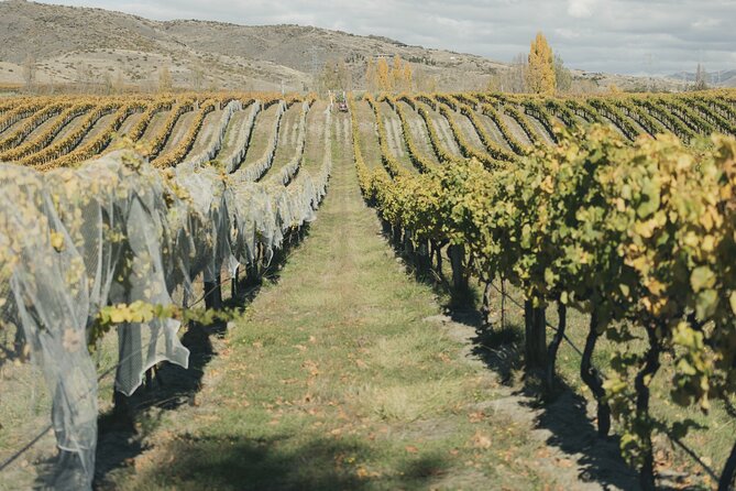 Full-Day Small-Group Wineries Tour With Tastings, Queenstown - Common questions