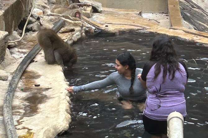 Full Day Snow Monkey Tour To-And-From Tokyo, up to 12 Guests - Safety Measures and Weather Considerations