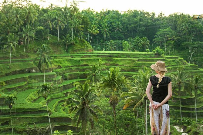 Full-Day Tour Ubud Best Things to Do in Ubud - Sum Up