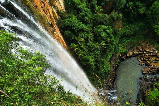 Gold Coast: Natural Arch, Rainforest & Volcano Canyon  - Surfers Paradise - Traveler Photos and Feedback