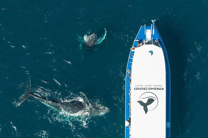 Gold Coast Whale Watching Cruise - Common questions