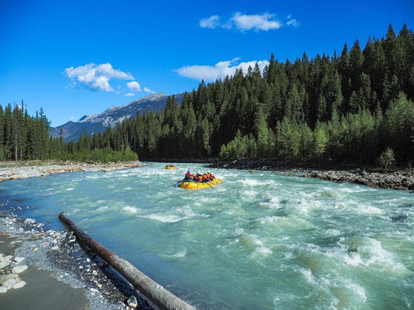 Golden, BC: Kicking Horse River Half Day Whitewater Rafting - Itinerary