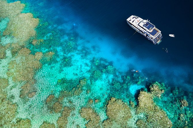 Great Barrier Reef Diving and Snorkeling Cruise From Cairns - Sum Up