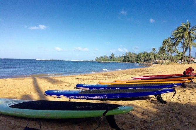 Group Stand Up Paddle Lesson and Tour - Common questions