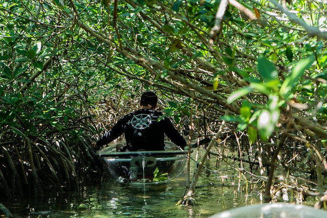 Guided Clear Kayak Eco-Tour Near Key West - Common questions