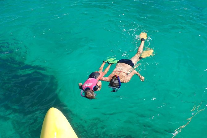 Half-Day Catamaran Tour and Snorkeling off Rottnest Island - Customer Reviews