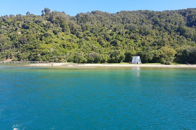 Half-Day Cruise in Marlborough Sounds From Picton - Departure Details