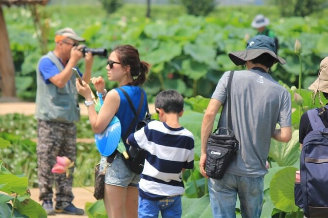Half-Day Excursión Lotus Flowers and Local Foods From Busan - Contact Information and Terms