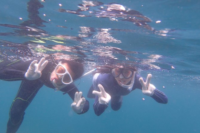 Half-Day Snorkeling Course Relieved at the Beginning Even in the Sea of Izu, Veteran Instructors Wil - Common questions