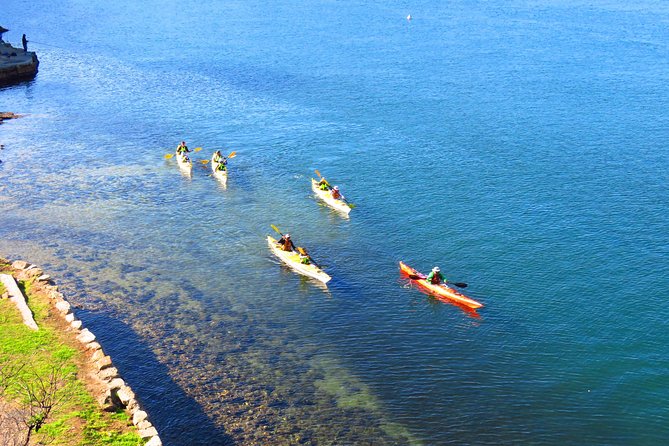 Half-Day Sydney Middle Harbour Guided Kayaking Eco Tour - Sum Up