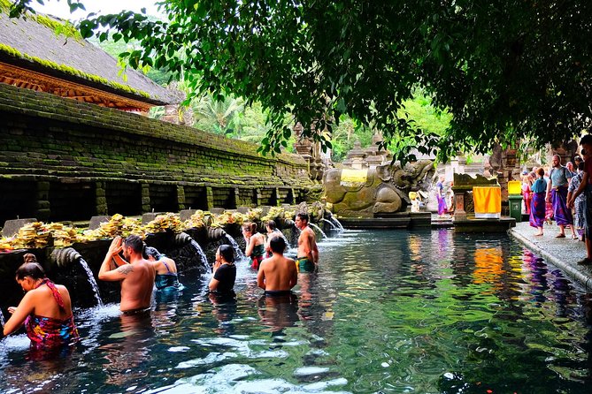 Half-Day Ubud Electric Cycling Tour to Tirta Empul Water Temple - Traveler Experience and Reviews