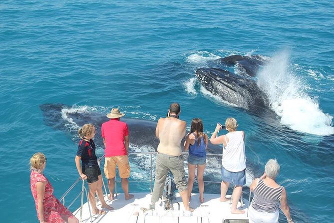Half-Day Whale Watching Sunset Cruise From Broome - Customer Reviews