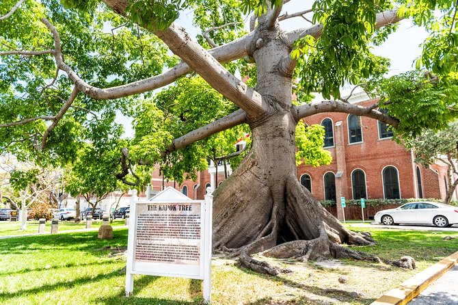 Highlights and Stories of Key West - Small Group Walking Tour - Common questions