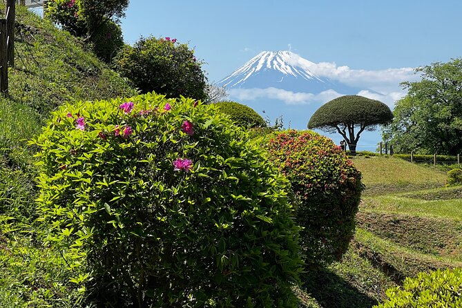 Hike Japan Heritage Hakone Hachiri With Certified Mountain Guide - What to Bring for the Hike