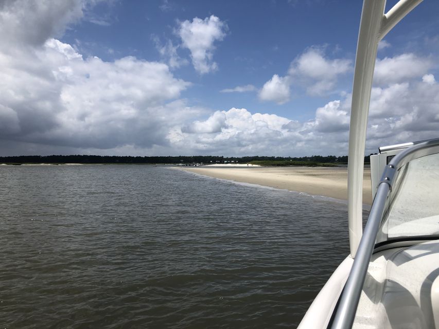 Hilton Head: Calibogue Sound Private Dolphin Boat Charter - Regulations and Guidelines