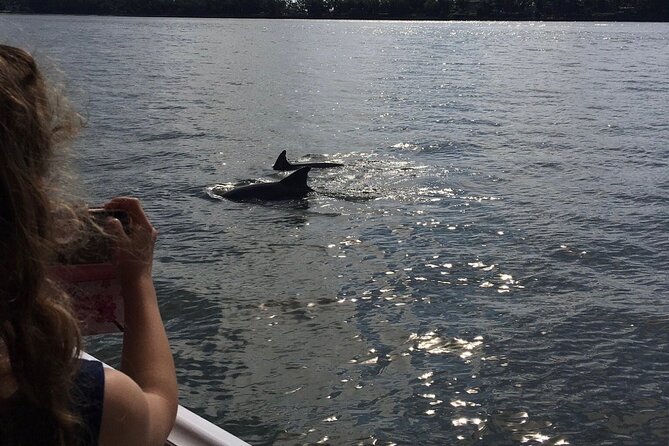 Hilton Head Island Dolphin Boat Cruise - Scheduling & Check-in Information