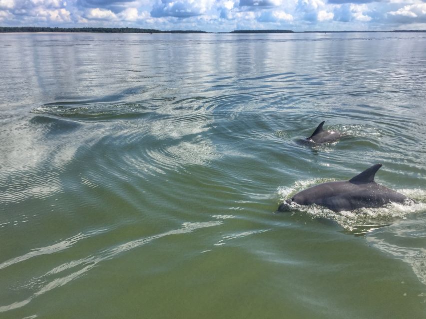 Hilton Head Island: Private Dolphin Watching Boat Tour - Common questions