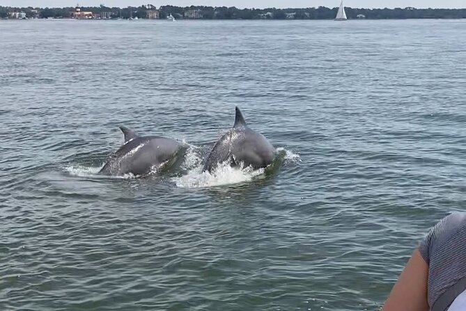 Hilton Head Vanishing Mile Isle Private Boat Charter  - Hilton Head Island - Common questions