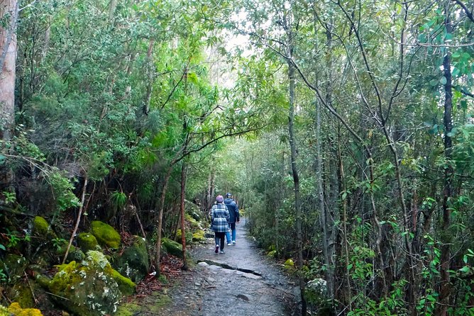 Hobart Hop-On Hop-Off Bus & Kunanyi/Mt Wellington Tour - Additional Information