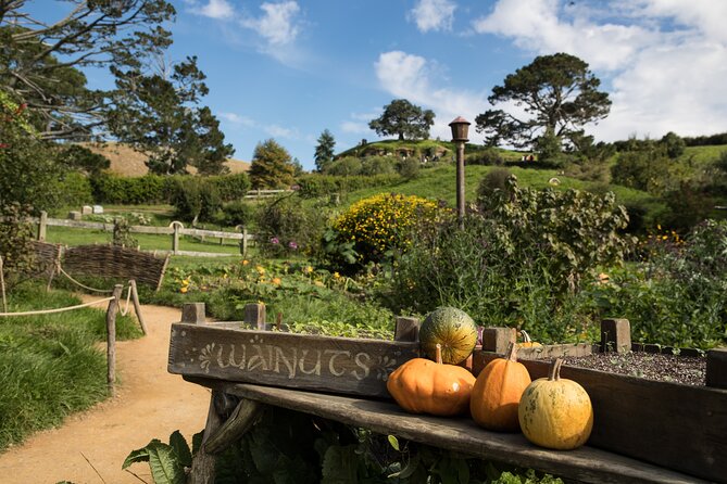 Hobbiton Day Tour From Rotorua With Lunch at Hobbiton - Sum Up