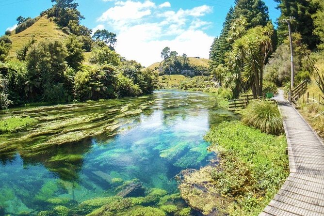 Hobbiton Movie Set Tour to Blue Springs and Mineral Spa - Additional Information