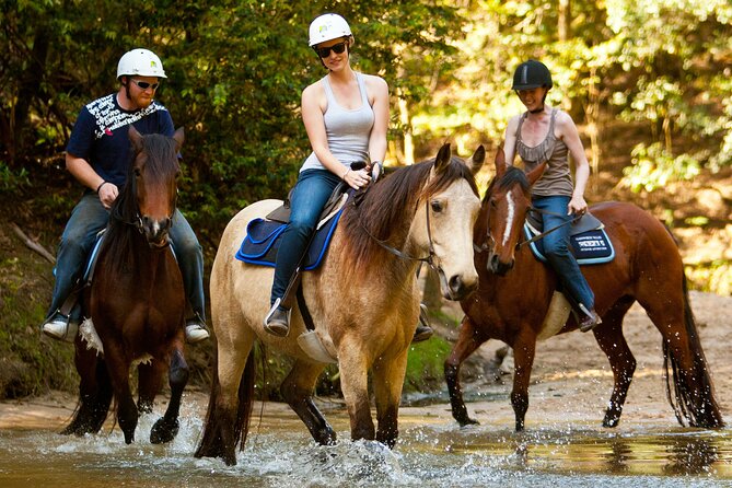 Horse Riding, Koalas & Kangaroos - Wild Australia: Private Tour - Contact Information