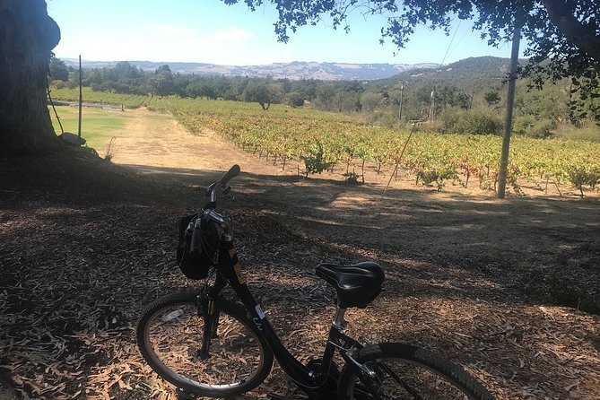 Independent Hassle-free Bike Rental in Sonoma - Safety Measures