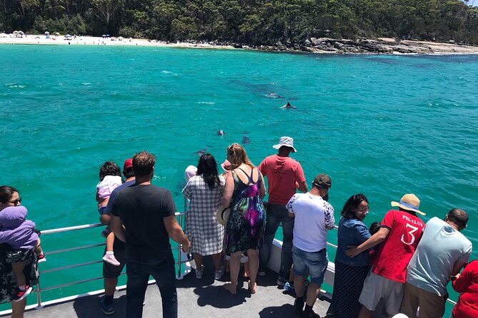 Jervis Bay Dolphin Cruise - Sum Up
