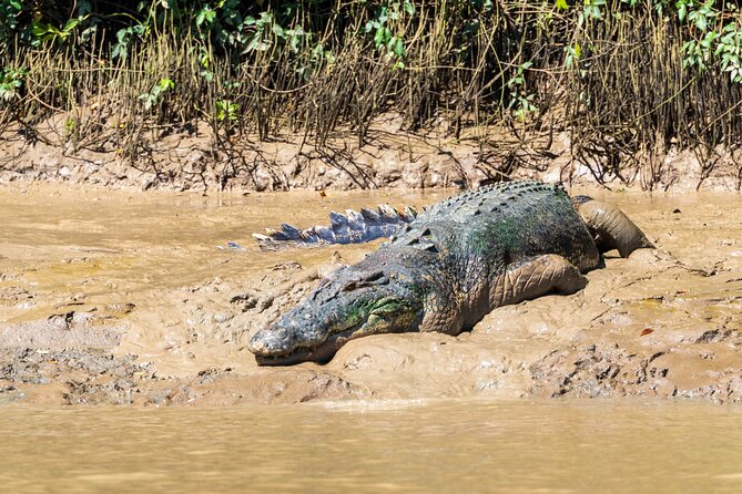 Jumping Crocodile Experience - Safety and Accessibility