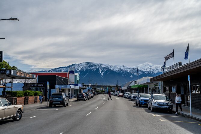 Kaikoura Day Tour With Kayak Experience From Christchurch - Sum Up