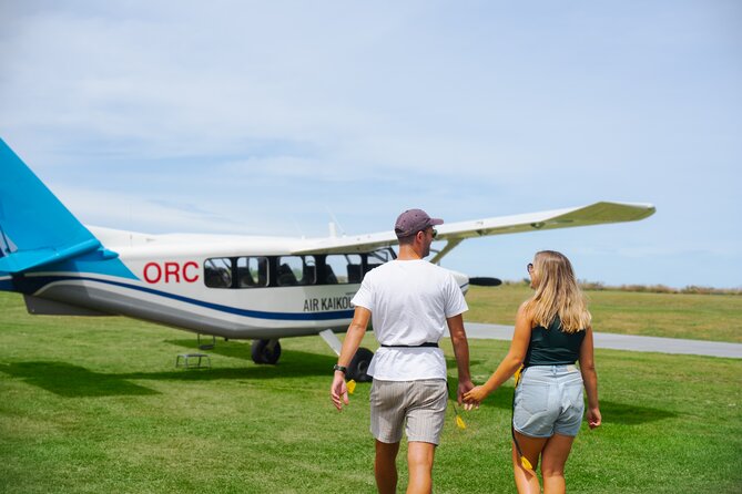 Kaikoura: Whale Watching Flight (Extended) - Sum Up