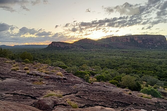 Kakadu Day Tour-Yellow Water-Nourlangie-Ubirr-Cahills-Fogg Dam - Customer Support and Contact Details