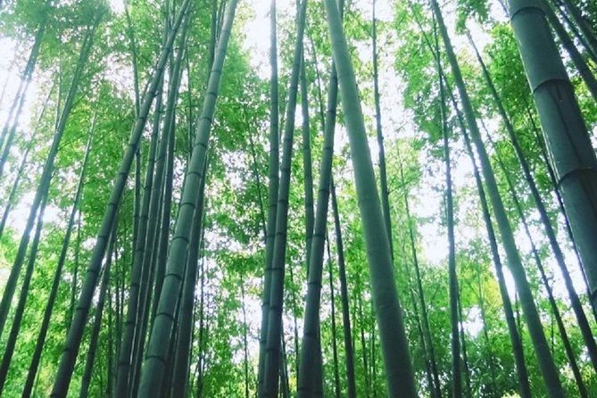 Kamakura Bamboo Forest and Great Buddha Private Tour - Common questions