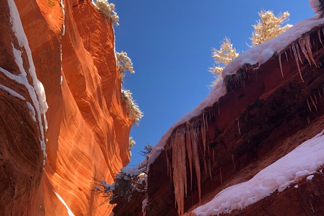 Kanab: Small-Group Peek-A-Boo Hiking Tour  - Zion National Park - Personalized Experience