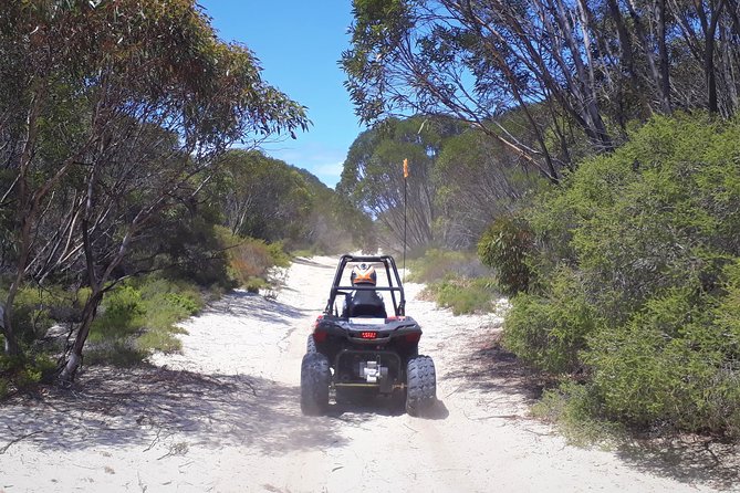 Kangaroo Island Quad Bike (ATV) Tours - Common questions