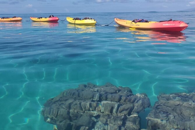 Kayak and Snorkel: Maui West Shore - Accessibility and Weather Considerations