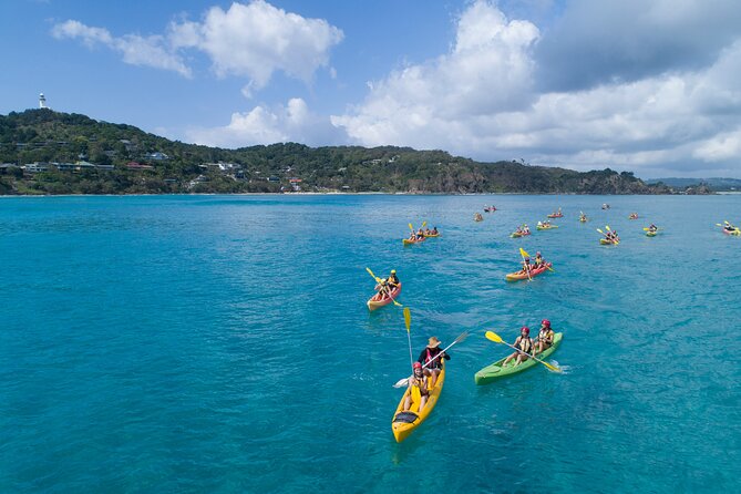 Kayaking With Dolphins in Byron Bay Guided Tour - Common questions