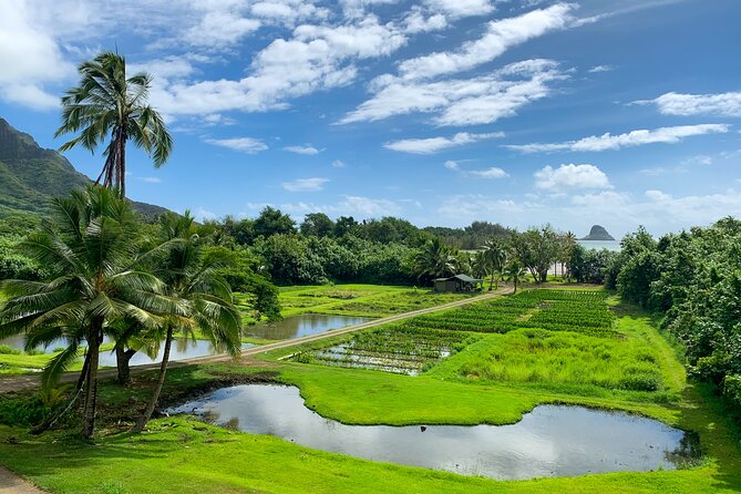 Kualoa Ranch Off-Road Jungle, Garden, Film Location Tour  - Oahu - Booking Confirmation