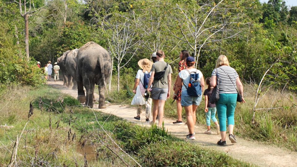 Kulen Elephant Forest and Tonle Sap Lake With Special Option - Additional Information